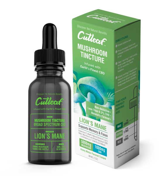 Lion's Mane Tincture 5000MG Mushroom 1000MG CBD