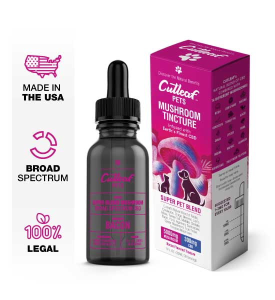 Bacon Pet Tincture 5000MG Mushroom 300MG CBD