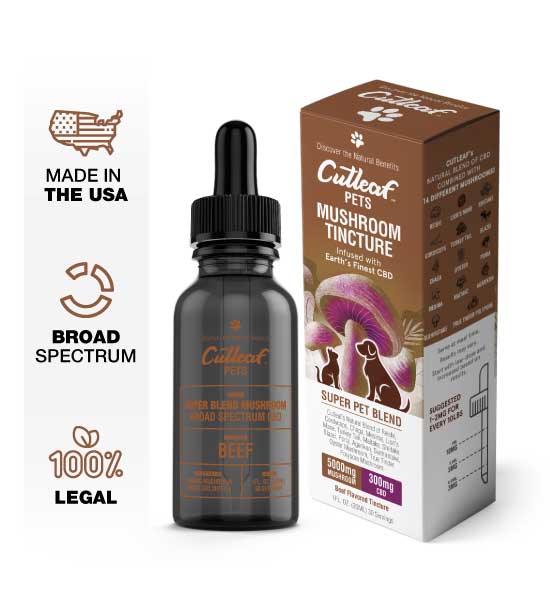 Beef Pet Tincture 5000MG Mushroom 300MG CBD