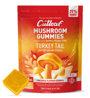 Turkey Tail 1000MG Mushroom Gummies